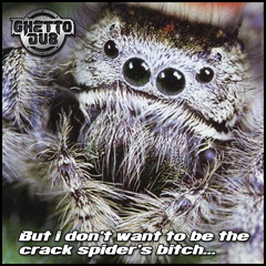 Vinyl Junkie & Sanxion - Crack Spiders - FREE TUNE - DRUM & BASS