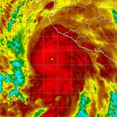 Weather the storm