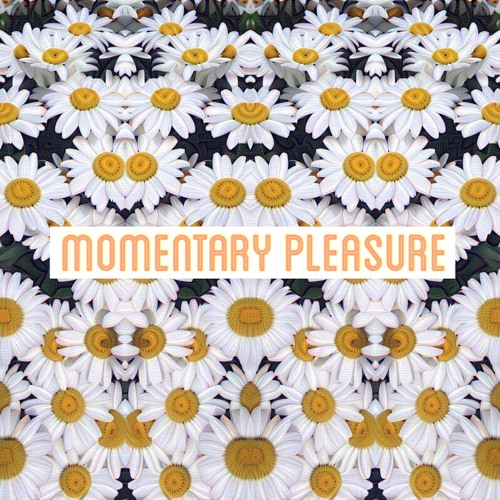 Momentary Pleasure