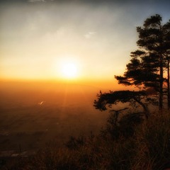 Mindfulness Episode 37