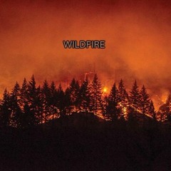 Wildfire ft. Shadi