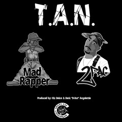 T.A.N. (Thugs and N#%%@s) - Mad Rapper x Tupac