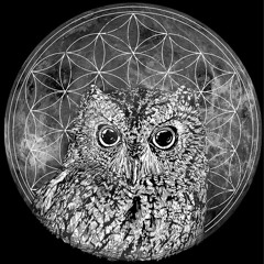 Stuck On Rewind (One shot)