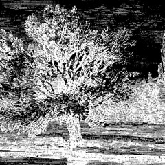 A JS - Reduction 2 (Volte-Face Remix) [PHORMA008R]