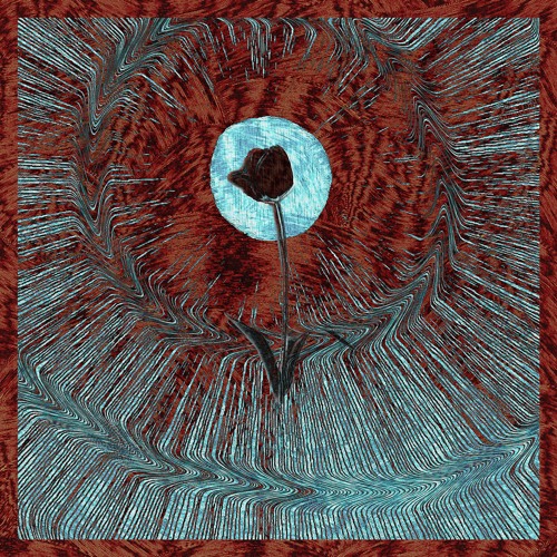 Bibio - Petals (AVEM Cover)