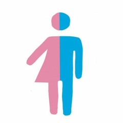 2: Maybe We Should Talk About Gender