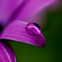 Night Note - A night Ballads