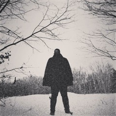 The Grey [prod. by Syndrome]