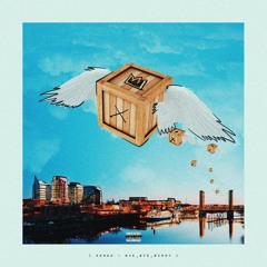 Kenex - Bye Bye Birdy