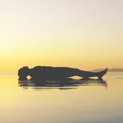 Om Shrim Yoga Nidra In The New Year