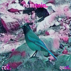 SamHain Prod. By TW1GZ