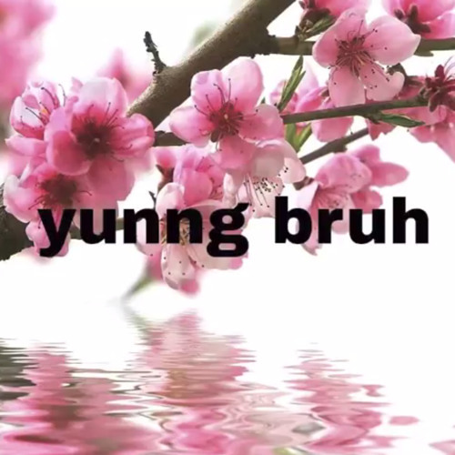 yung bruh - macintosh
