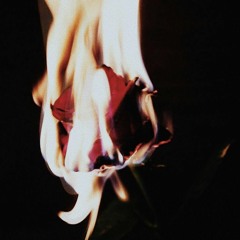 Champagne Devil Pt.2 Ft. Yung Boy RED (Prod. Ocean Beats)