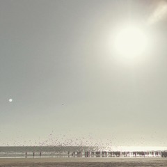 No Sun Into The Void