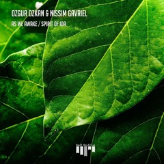 Ozgur Ozkan & Nissim Gavriel - As We Awake [Beat Boutique Records] / preview