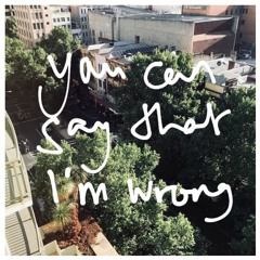 You Can Say That I'm Wrong