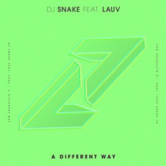 DJ Snake, Ariana Grande - A Different Way (Beau Collins Remix) vs One Last Time (Mashup)