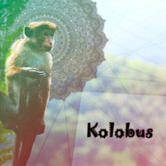 Hasche  - Kolobus[Free Download]