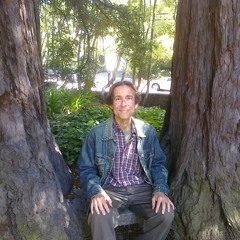 Looking For Moment Of Stillness