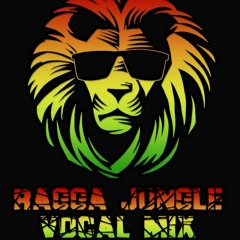 FREE DOWNLOAD - Kye Shand - 4 deck Ragga jungle mix - Christmas mix