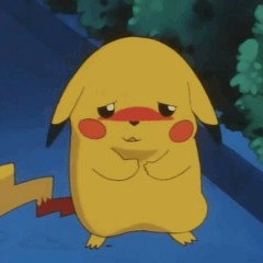 yu coming home this year