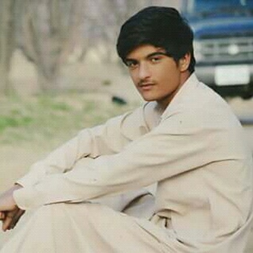 Gul zaib ali asghar