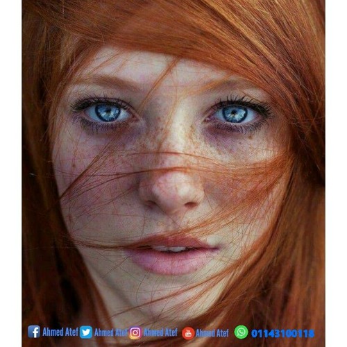 كل وقت كريم  ديسكو