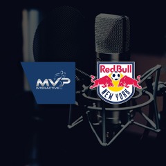 Fan experience with the NY Red Bulls