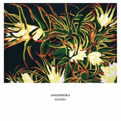 DC Promo Tracks #130: Angophora "Scenes"