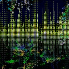 Environmental Frequencies #1