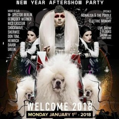 01.01.18 MonaLisa&thePoodle New Year Aftershow Party@KitKat Club Berlin (Dragon Floor)