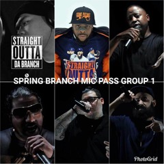 Spring Branch Mic Pass GROUP 1 (2017)