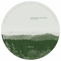 Formant Value & Simone Bauer - Veduta d'insieme.ANNULLEDCD06