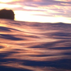 sale.awy (FREE DOWNLOAD)