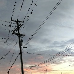 midnightvisions (prod. skel)