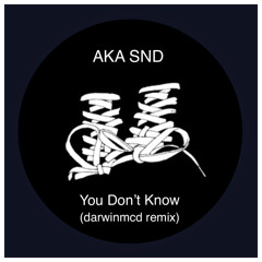 AKA SND - You Don’t Know (darwinmcd remix)
