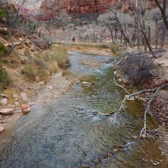 River At Zion