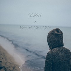 Sorry X Seeds Of Love (Trezii Mashup)