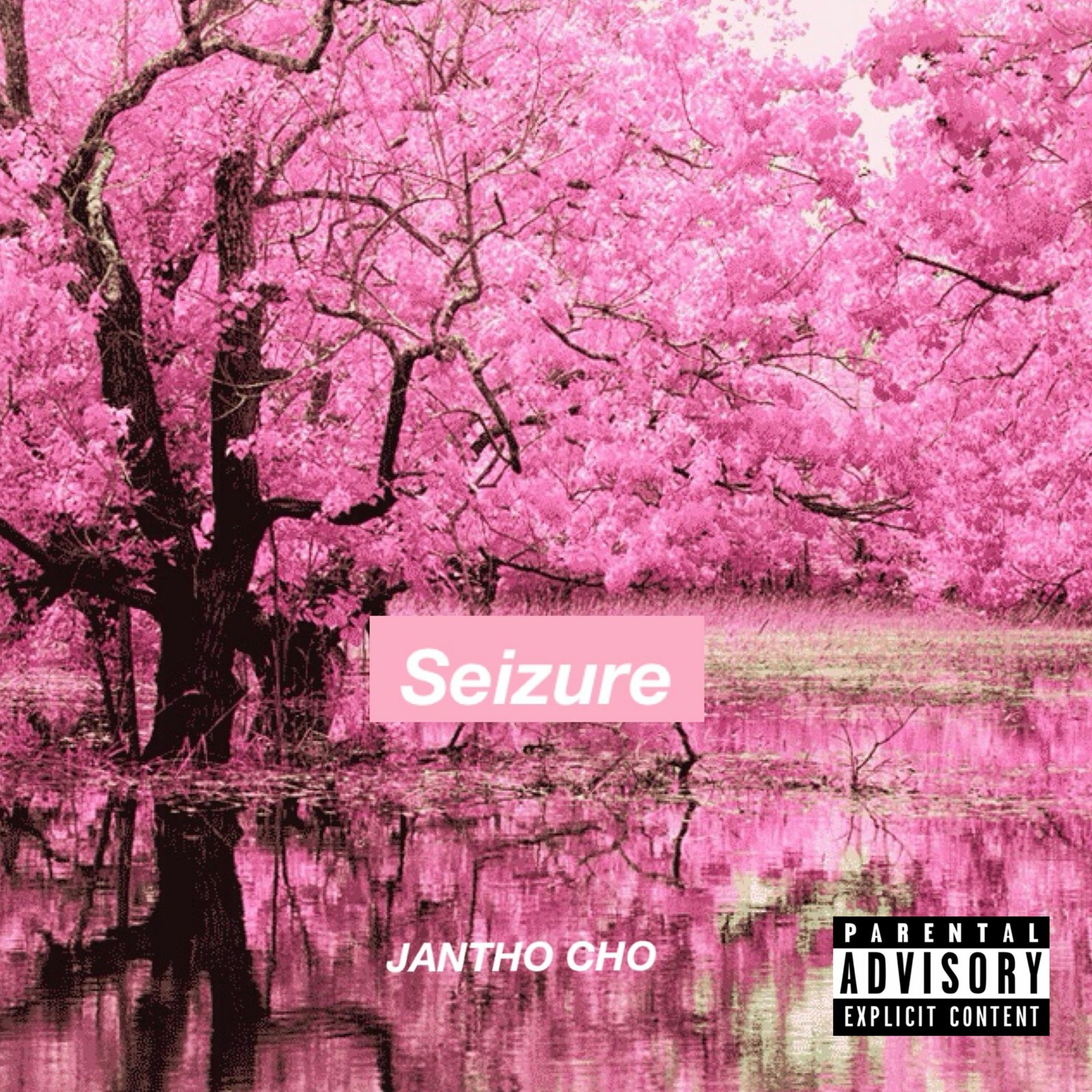 JAntho CHO - Seizure