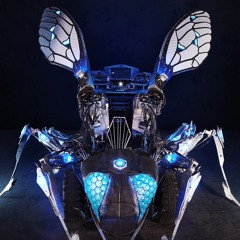 Tanglewood Festival 2017