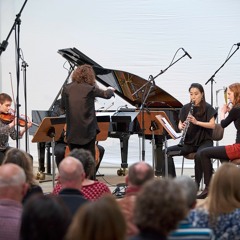 Inane II (2010) (flute, clarinet, violin, cello and piano)(performed by IEMA - Witten, 2017)