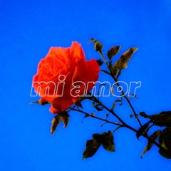 MI AMOR