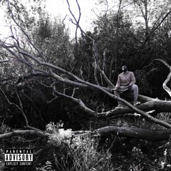 Fix Ya Soul - Mikul