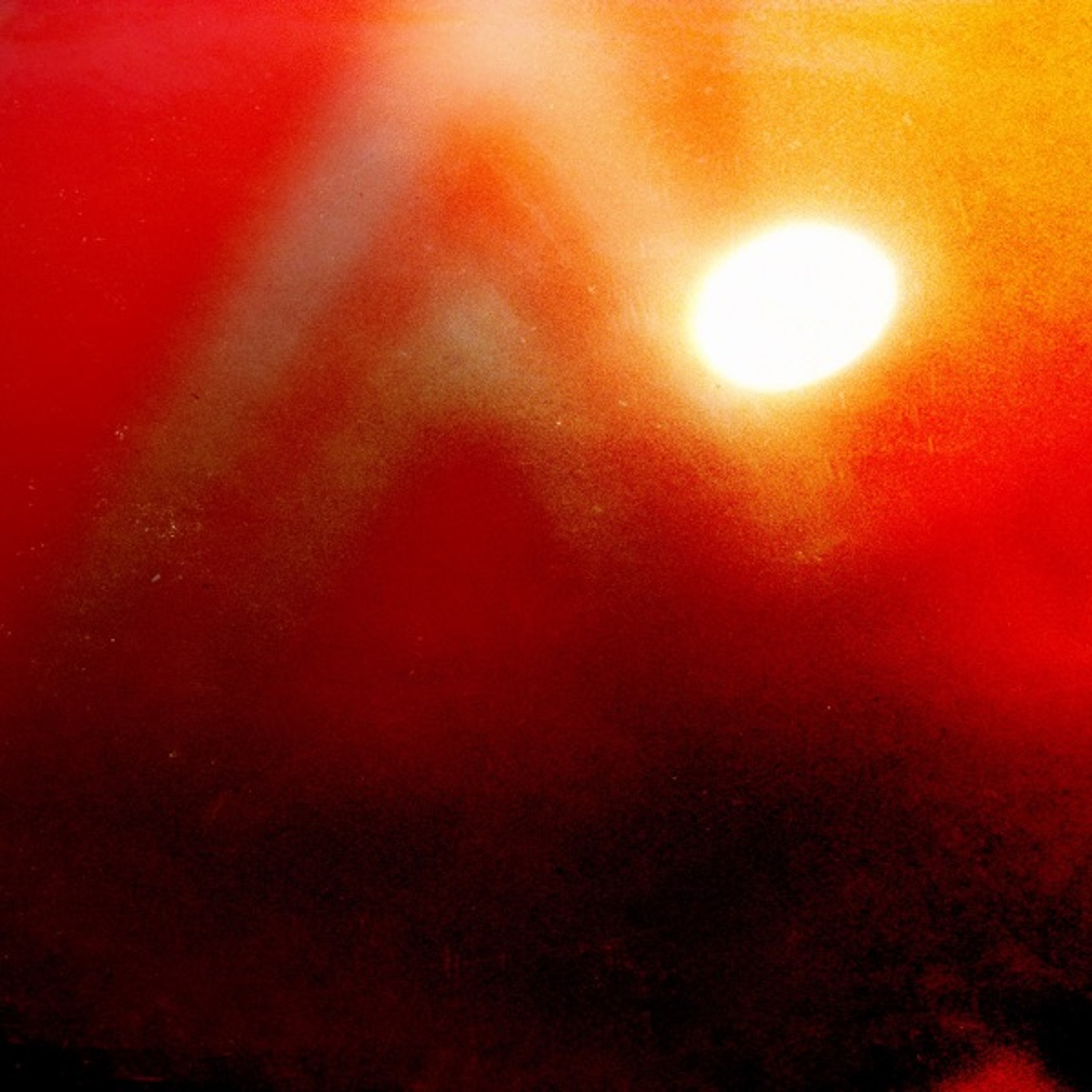 tree in reverse episode artwork