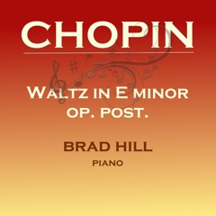 Chopin Waltz E Minor op. post.