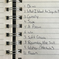 What I Want To Say To You