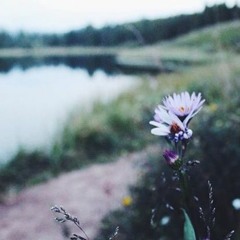 Tokyo-Dana Stahl Original