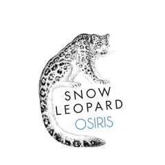 Snow Leopard
