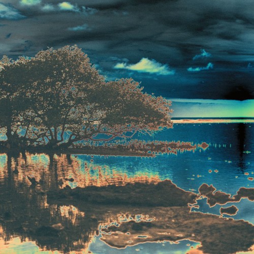 Wail Of The Marshes
