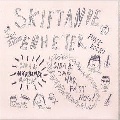 MSR-021 - Skiftande Enheter - Jag har fatt nog